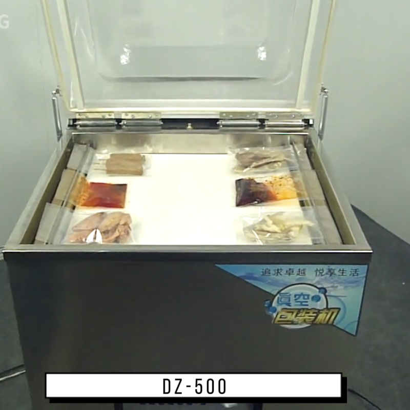 87_seladora a vácuo portátil (1)